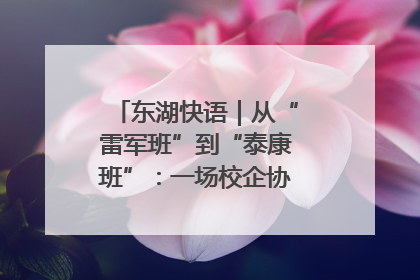 东湖快语｜从“雷军班”到“泰康班”：一场校企协同的“接力赛”