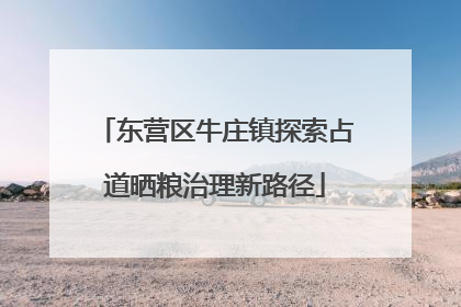 东营区牛庄镇探索占道晒粮治理新路径