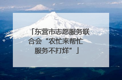 东营市志愿服务联合会“农忙来帮忙 服务不打烊”
