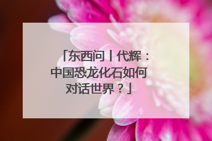 东西问丨代辉：中国恐龙化石如何对话世界？