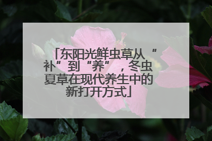 东阳光鲜虫草从“补”到“养”，冬虫夏草在现代养生中的新打开方式