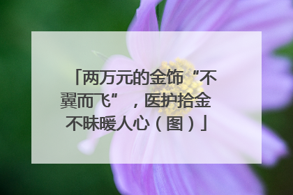 两万元的金饰“不翼而飞”，医护拾金不昧暖人心（图）