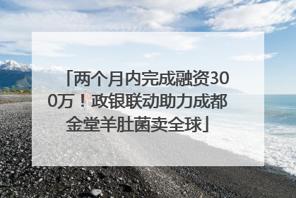 两个月内完成融资300万！政银联动助力成都金堂羊肚菌卖全球