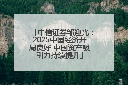 中信证券邹迎光：2025中国经济开局良好 中国资产吸引力持续提升
