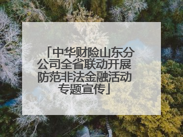 中华财险山东分公司全省联动开展防范非法金融活动专题宣传