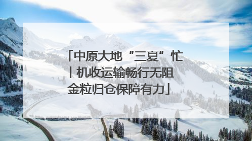 中原大地“三夏”忙丨机收运输畅行无阻 金粒归仓保障有力