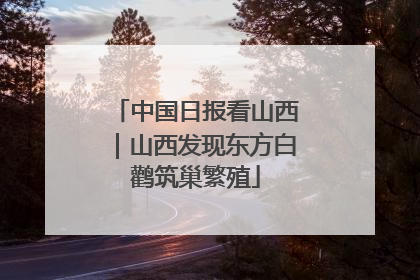 中国日报看山西｜山西发现东方白鹳筑巢繁殖