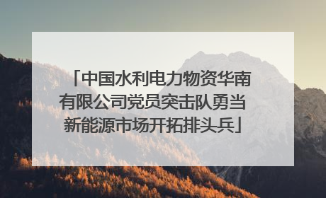中国水利电力物资华南有限公司党员突击队勇当新能源市场开拓排头兵