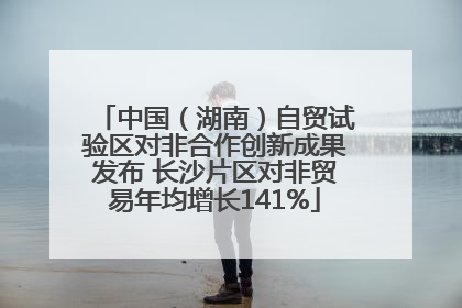 中国（湖南）自贸试验区对非合作创新成果发布 长沙片区对非贸易年均增长141%