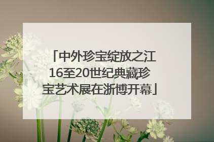 中外珍宝绽放之江 16至20世纪典藏珍宝艺术展在浙博开幕
