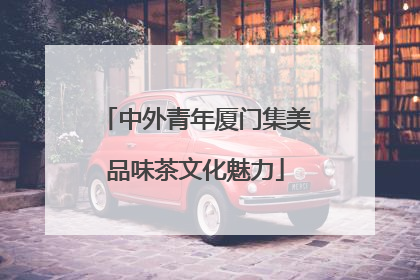中外青年厦门集美品味茶文化魅力