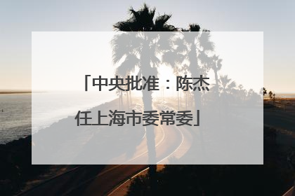 中央批准：陈杰任上海市委常委