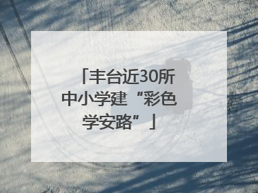 丰台近30所中小学建“彩色学安路”