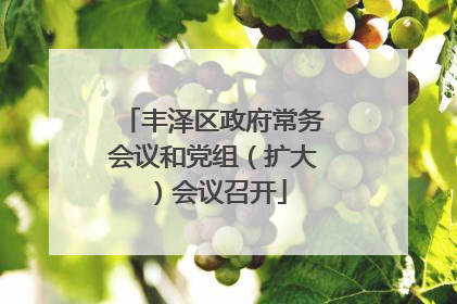 丰泽区政府常务会议和党组（扩大）会议召开