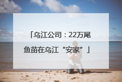 乌江公司：22万尾鱼苗在乌江“安家”