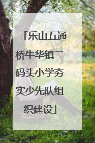 乐山五通桥牛华镇二码头小学夯实少先队组织建设