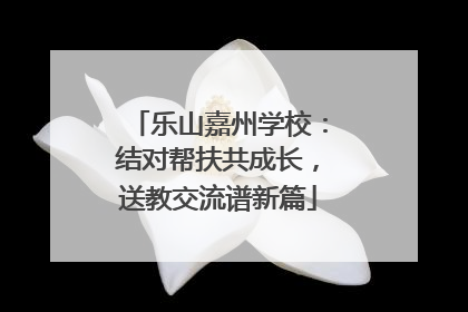 乐山嘉州学校：结对帮扶共成长，送教交流谱新篇