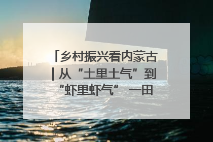 乡村振兴看内蒙古｜从“土里土气”到“虾里虾气” 一田双收模式火出圈