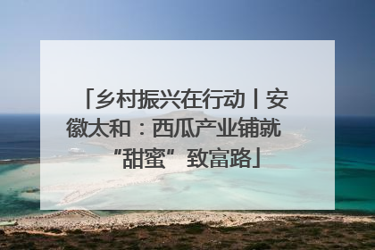 乡村振兴在行动丨安徽太和：西瓜产业铺就“甜蜜”致富路