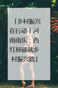 乡村振兴在行动丨河南南乐：西红柿铺就乡村振兴路