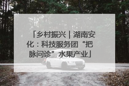 乡村振兴｜湖南安化：科技服务团“把脉问诊”水果产业