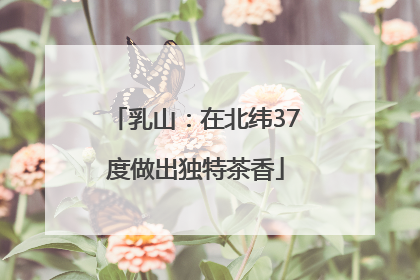 乳山：在北纬37度做出独特茶香