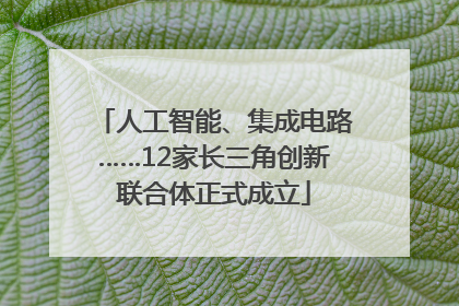 人工智能、集成电路……12家长三角创新联合体正式成立
