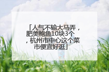 人气不输大马弄，肥美鲍鱼10块3个，杭州市中心这个菜市便宜好逛