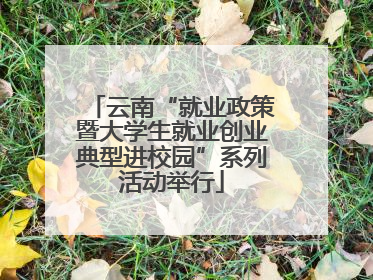 云南“就业政策暨大学生就业创业典型进校园”系列活动举行