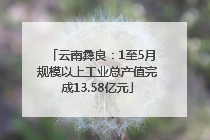 云南彝良：1至5月规模以上工业总产值完成13.58亿元