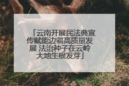 云南开展民法典宣传赋能边疆高质量发展 法治种子在云岭大地生根发芽