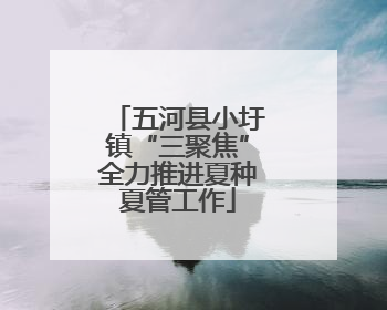 五河县小圩镇“三聚焦”全力推进夏种夏管工作