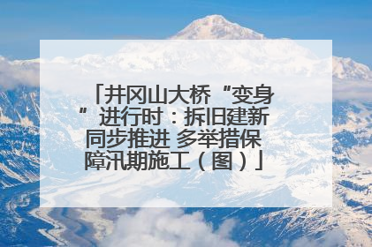 井冈山大桥“变身”进行时：拆旧建新同步推进 多举措保障汛期施工（图）