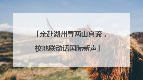 亲赴湖州寻两山真谛，校地联动话国际新声