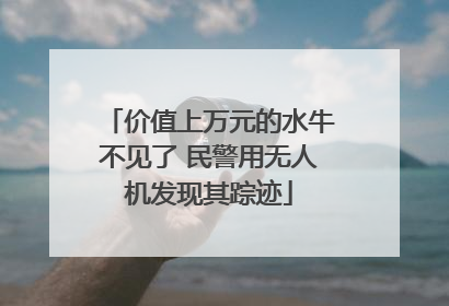 价值上万元的水牛不见了 民警用无人机发现其踪迹