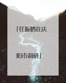 任振鹤在庆阳市调研