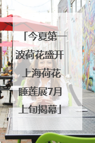 今夏第一波荷花盛开 上海荷花睡莲展7月上旬揭幕