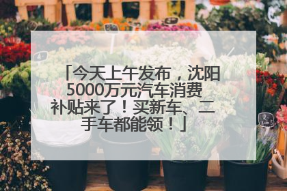 今天上午发布，沈阳5000万元汽车消费补贴来了！买新车、二手车都能领！