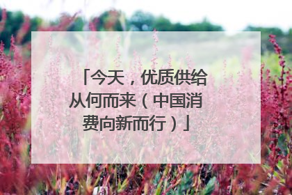今天，优质供给从何而来（中国消费向新而行）