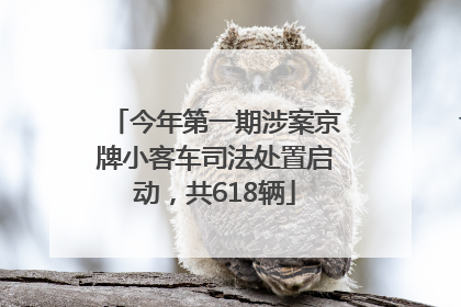 今年第一期涉案京牌小客车司法处置启动，共618辆