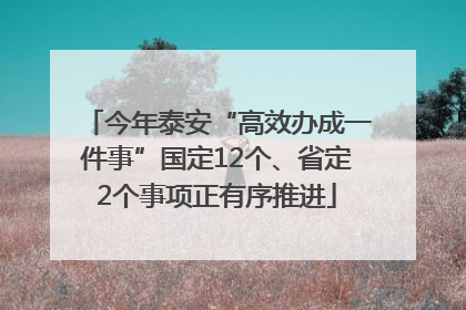 今年泰安“高效办成一件事”国定12个、省定2个事项正有序推进