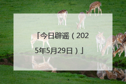今日辟谣（2025年5月29日）