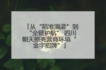 从“精准滴灌”到“全链护航” 四川朝天擦亮营商环境“金字招牌”