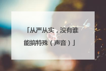 从严从实，没有谁能搞特殊（声音）
