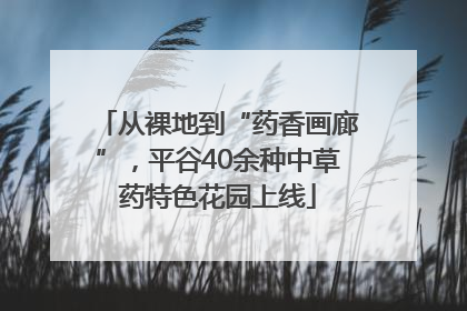 从裸地到“药香画廊”，平谷40余种中草药特色花园上线