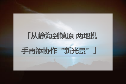 从静海到镇原 两地携手再添协作“新光景”