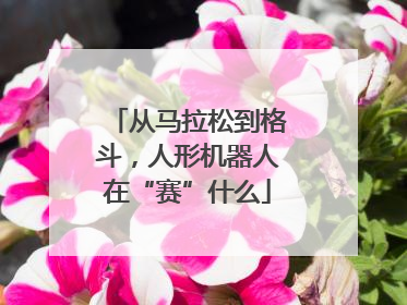 从马拉松到格斗，人形机器人在“赛”什么