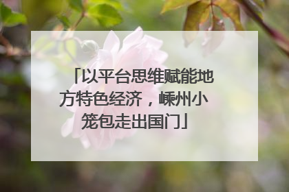 以平台思维赋能地方特色经济，嵊州小笼包走出国门