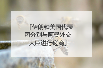伊朗和美国代表团分别与阿曼外交大臣进行磋商