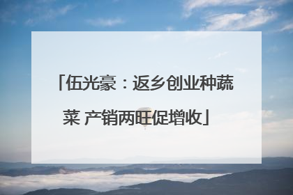 伍光豪：返乡创业种蔬菜 产销两旺促增收